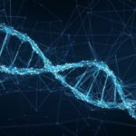 ¿Qué es la prueba genealógica de ADN?